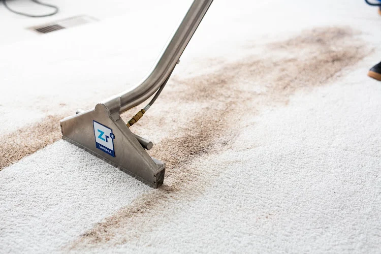 Zerorez Seattle Carpet Cleaning