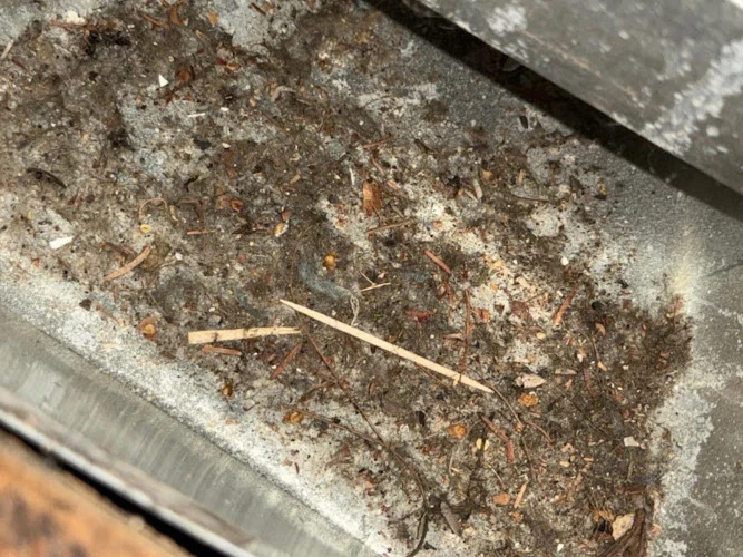 Air Duct Cleaning