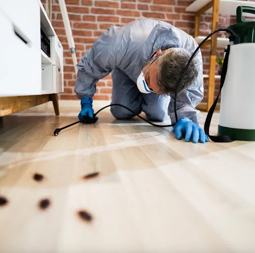 World Class Wildlife Removal & Rodent Remediation