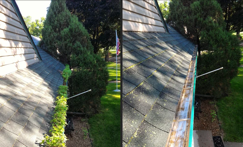 Clean and Clear Window Cleaning