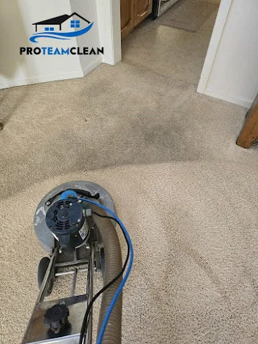 Pro Team Carpet Care