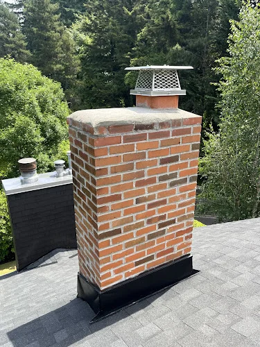 Chimney Sweep Specialist