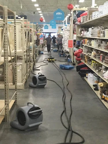 Action Restoration, Inc.
