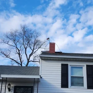 Pure Home Services