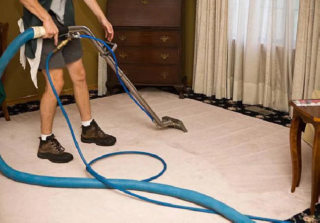 FW Carpet And Upholstery Boston