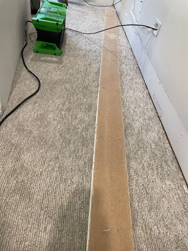 SERVPRO of Downtown Orlando / Team Nicholson
