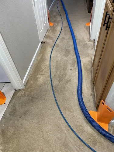 EcoFresh Carpet Cleaning