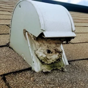 Dryer Vent Cleaning of Bradenton