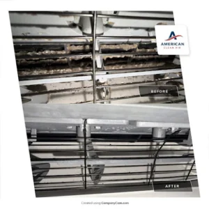 American Clean Air
