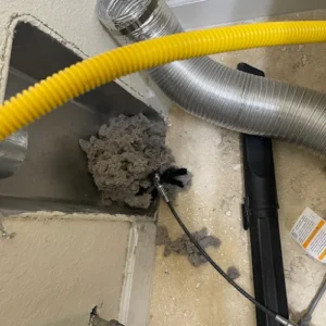 Surge Dryer Vent Cleaning Port Charlotte