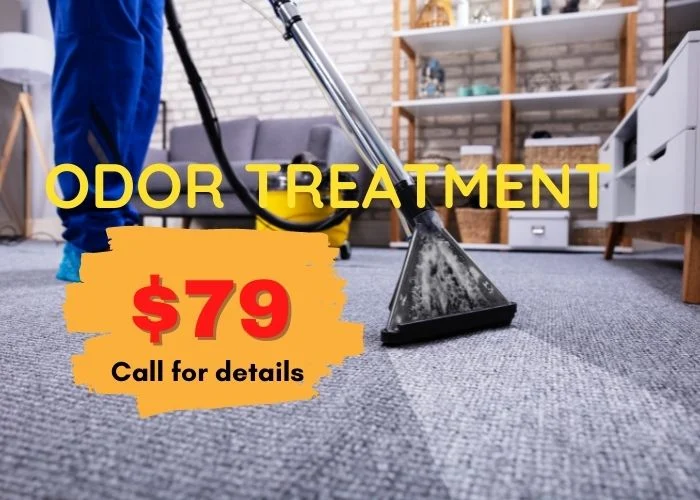 Yayitos carpet cleaning