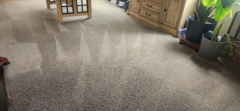 Steam-Vac Carpet Cleaners