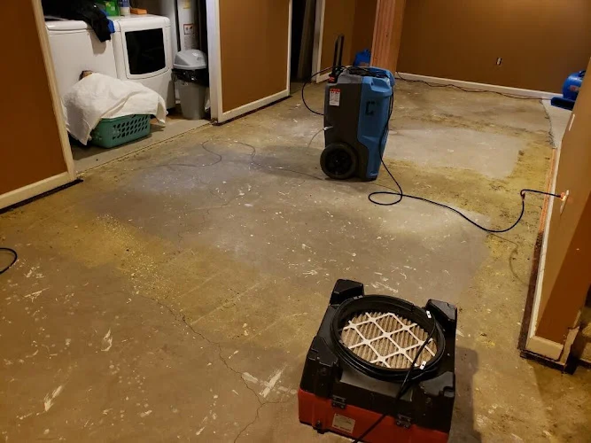 Royalty Air Duct & Carpet Cleaning
