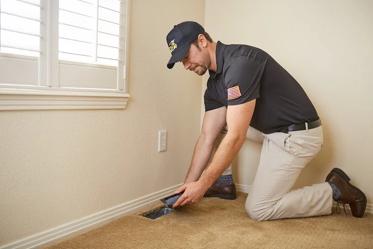 Lion Home Service