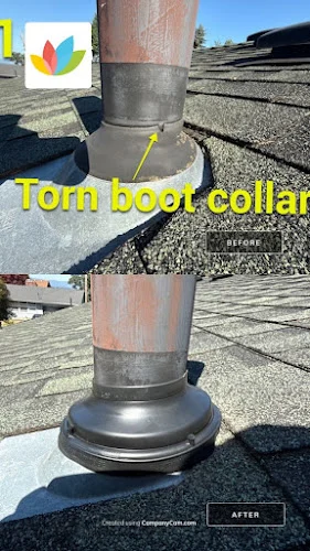 Portland Roof & Gutter Cleaning by All Seasons