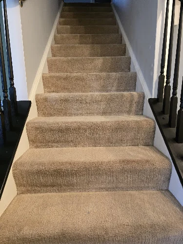 Fiber Dry Carpet & Upholstery Cleaning
