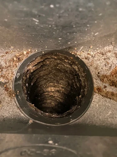 Dallas Blue Forest Air Duct Cleaning services