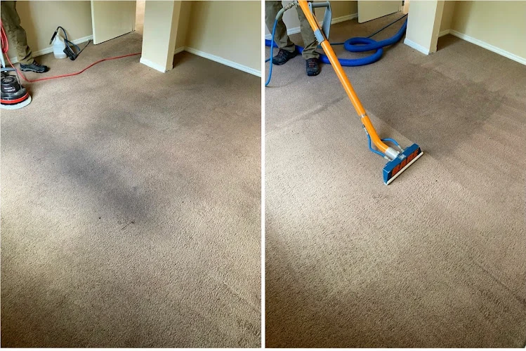 Bare Carpet Care