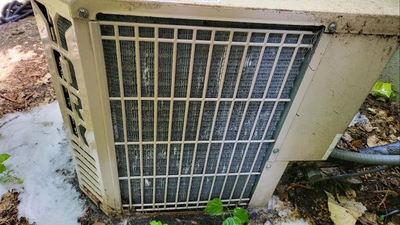 Eco Clean & Maintenance