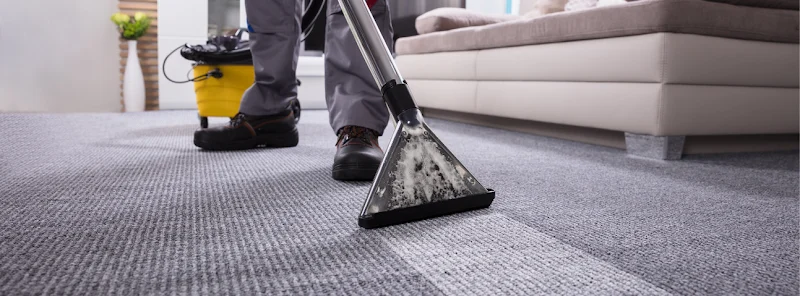 Freeman Brothers Carpet Cleaning