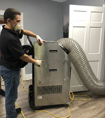 ProClean Air Duct Cleaning & Mold Remediation