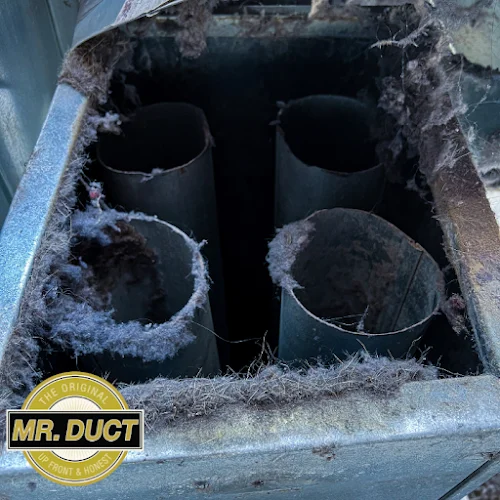 Mr. Duct