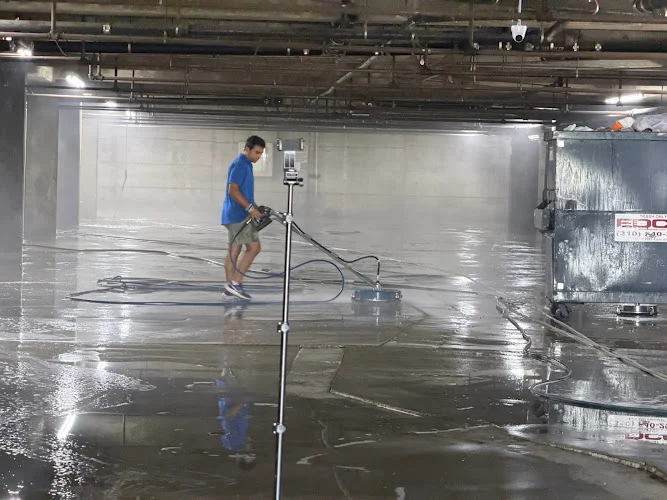 Rhine Cleaning