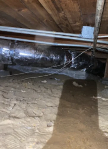 EcoStep Vent Brushing Exp.
