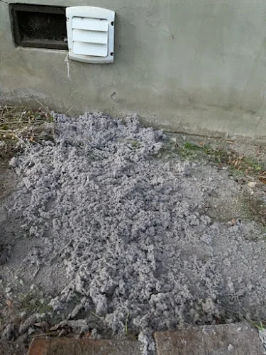 FreshGuard Dryer Vent Brushing Solution