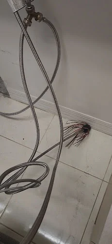 Triple Clean Air Duct and Dryer