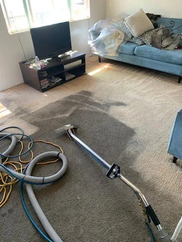 VR Green Cleaning
