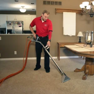 Peerless Cleaners