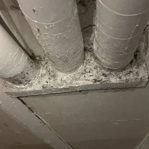 Roy's Dryer Vent Services