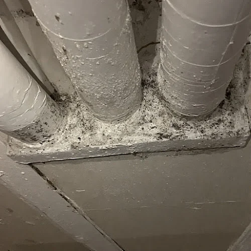 Roy's Dryer Vent Services