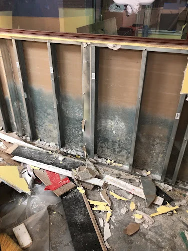 Prime Aire Mold Services