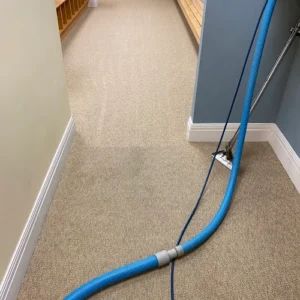 ProTouch - Carpet Cleaning Virginia Beach