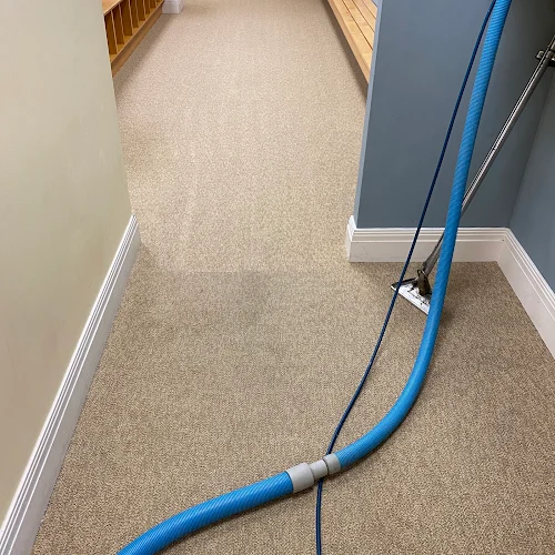 ProTouch - Carpet Cleaning Virginia Beach