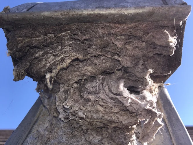Vent Doctor - Dryer Vent Cleaning
