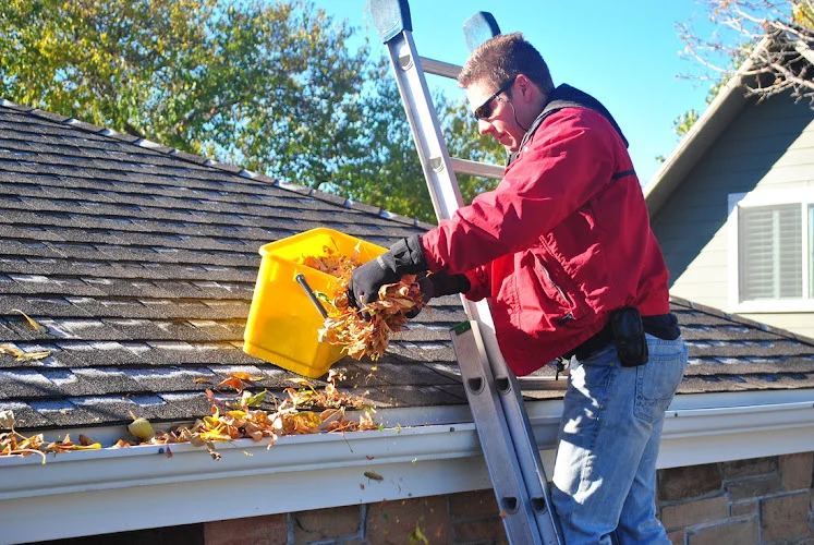 A. B. Richards Professionals