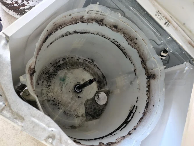 5 Star In Home Services