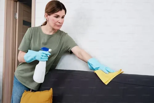 Alfred & Sons Home Services