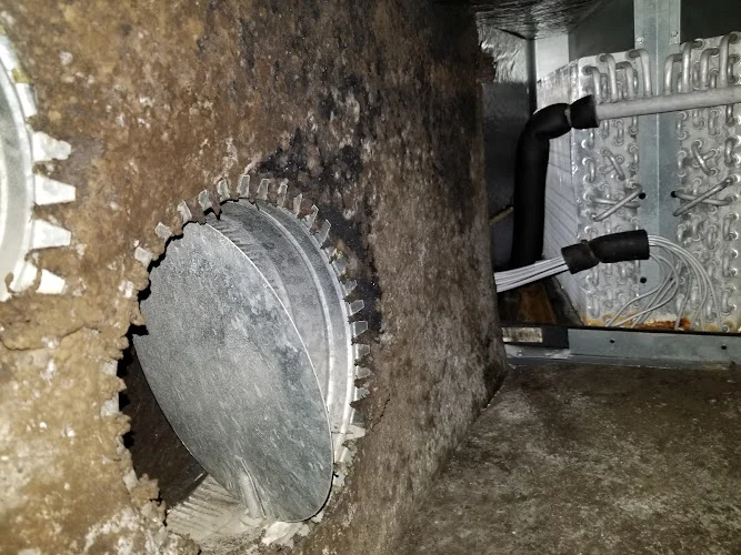 Superior Air Duct & Dryer Vent Cleaning