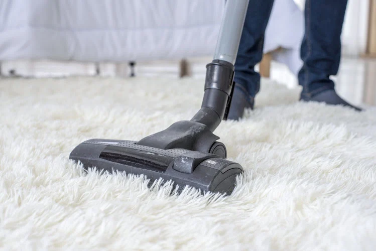 Superb Newton Carpet Care