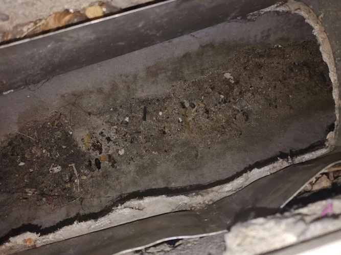 Green Tiger Vent Service