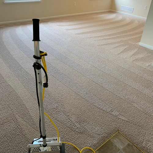 Clean & Pristine Services Inc