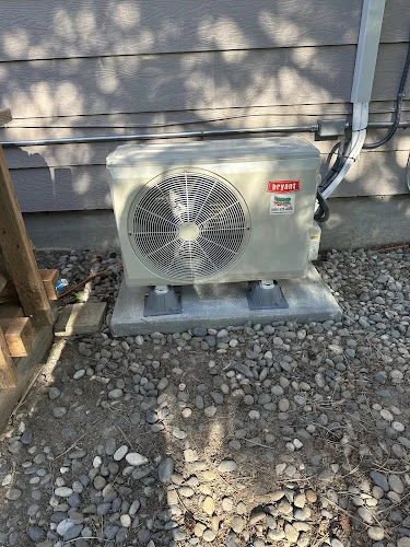 Young's Heating, Cooling and Electric