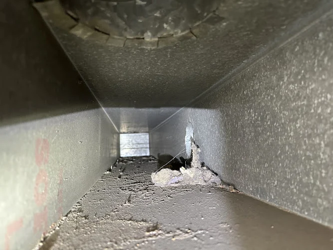 Forte Air Duct Cleaning LLC