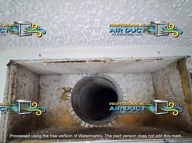 Professional AC Air Duct Cleaning