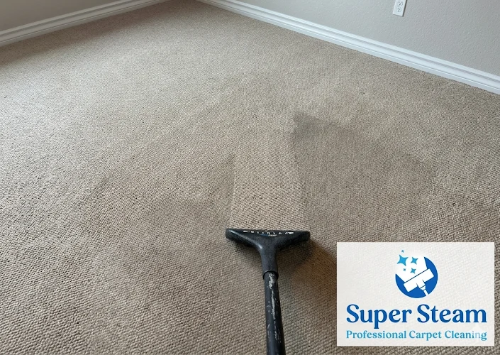 Super Steam Professional Carpet Cleaning