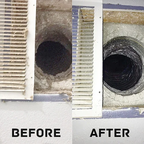 Dynasty Ducts